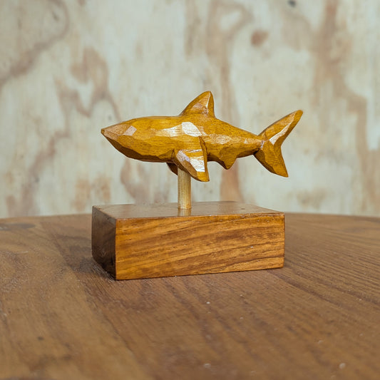 Small Shark