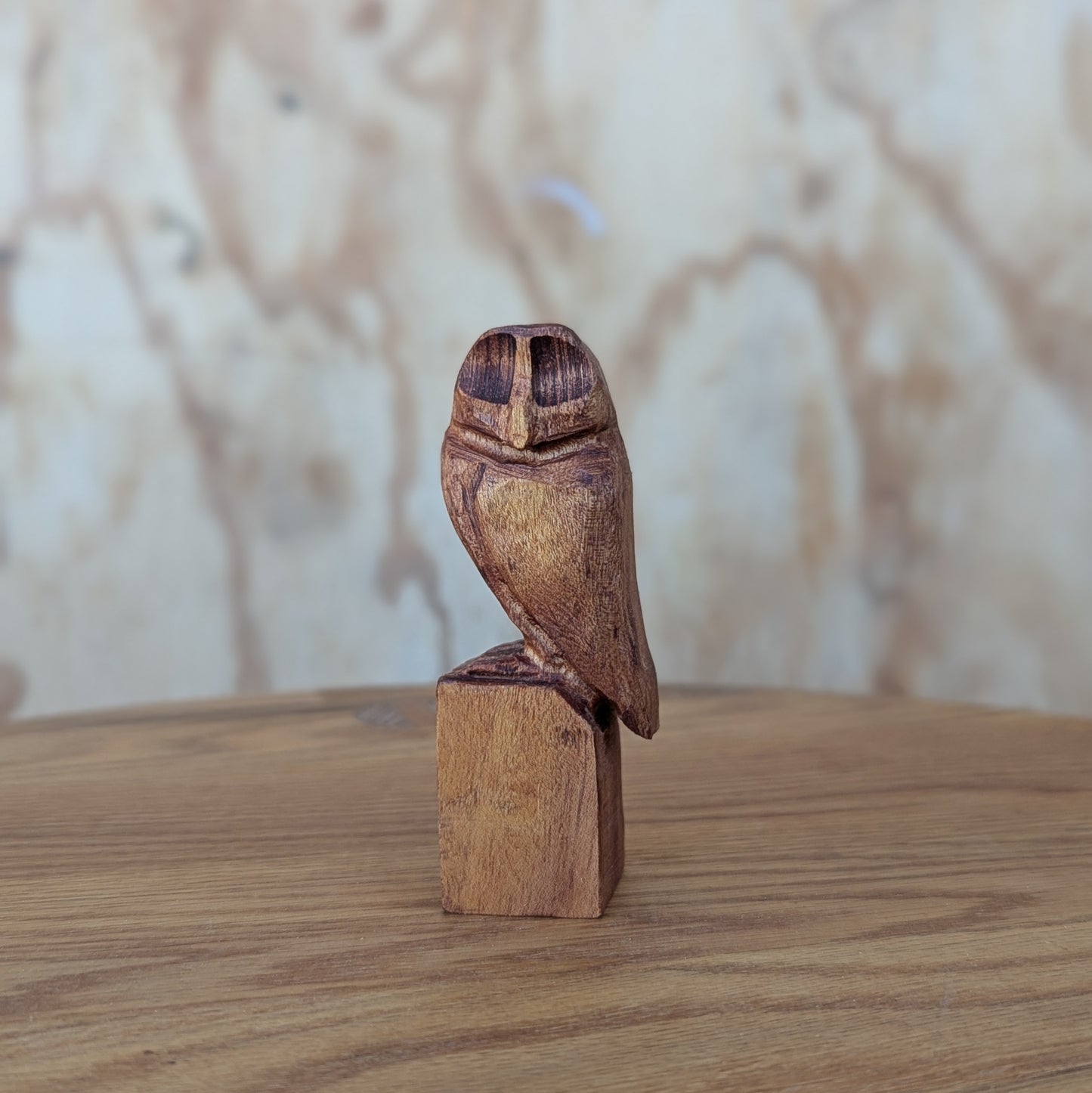 Small Owl #1