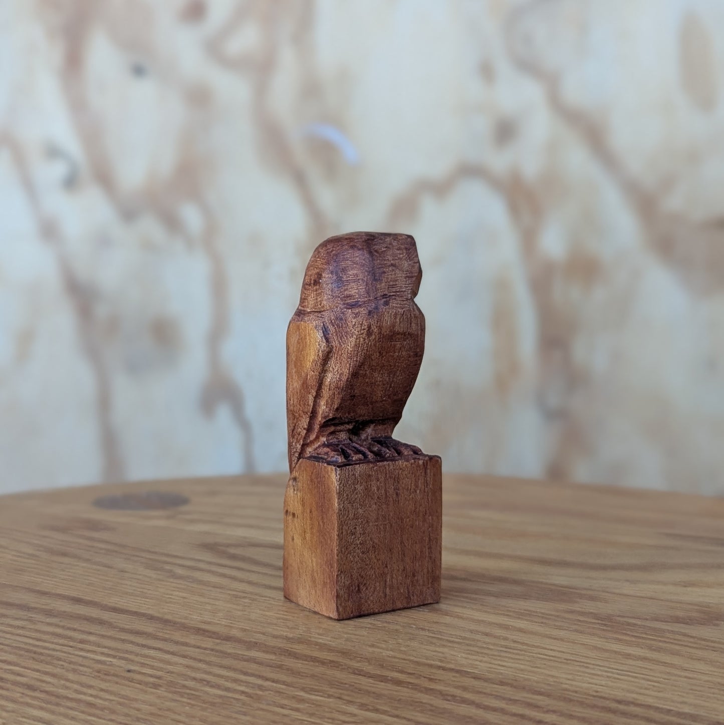 Small Owl #1