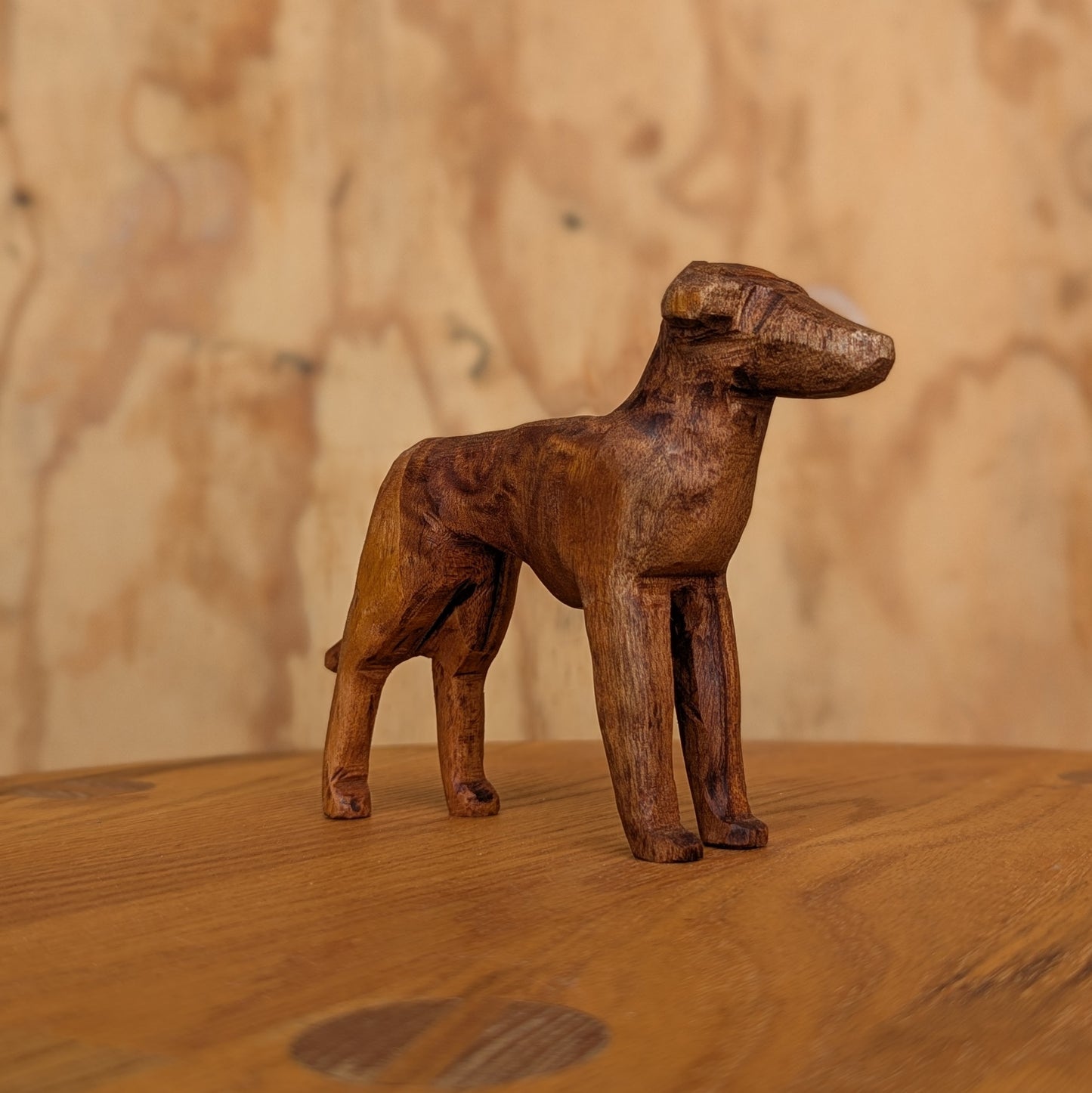 Large Greyhound #1