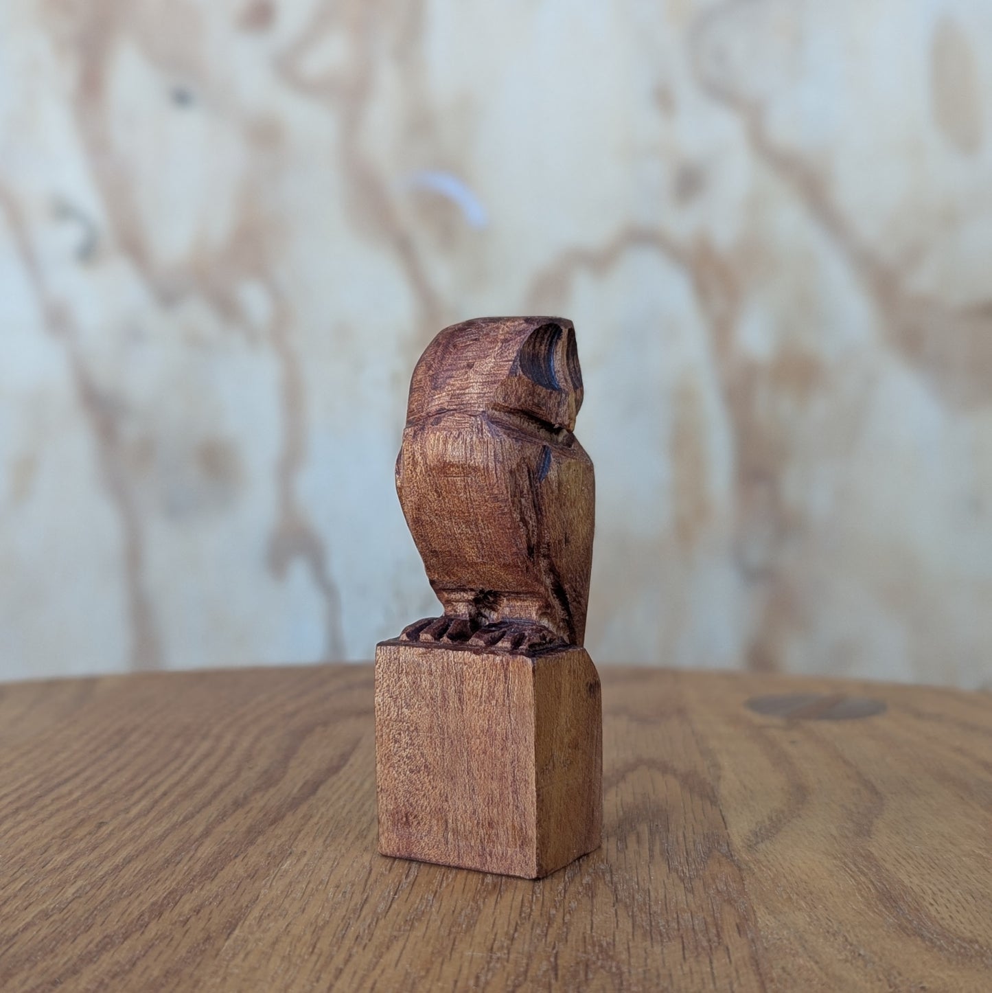 Small Owl #1
