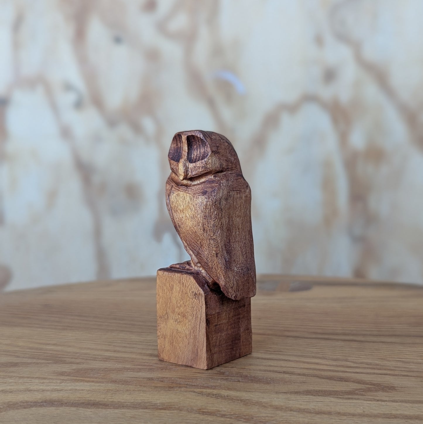 Small Owl #1