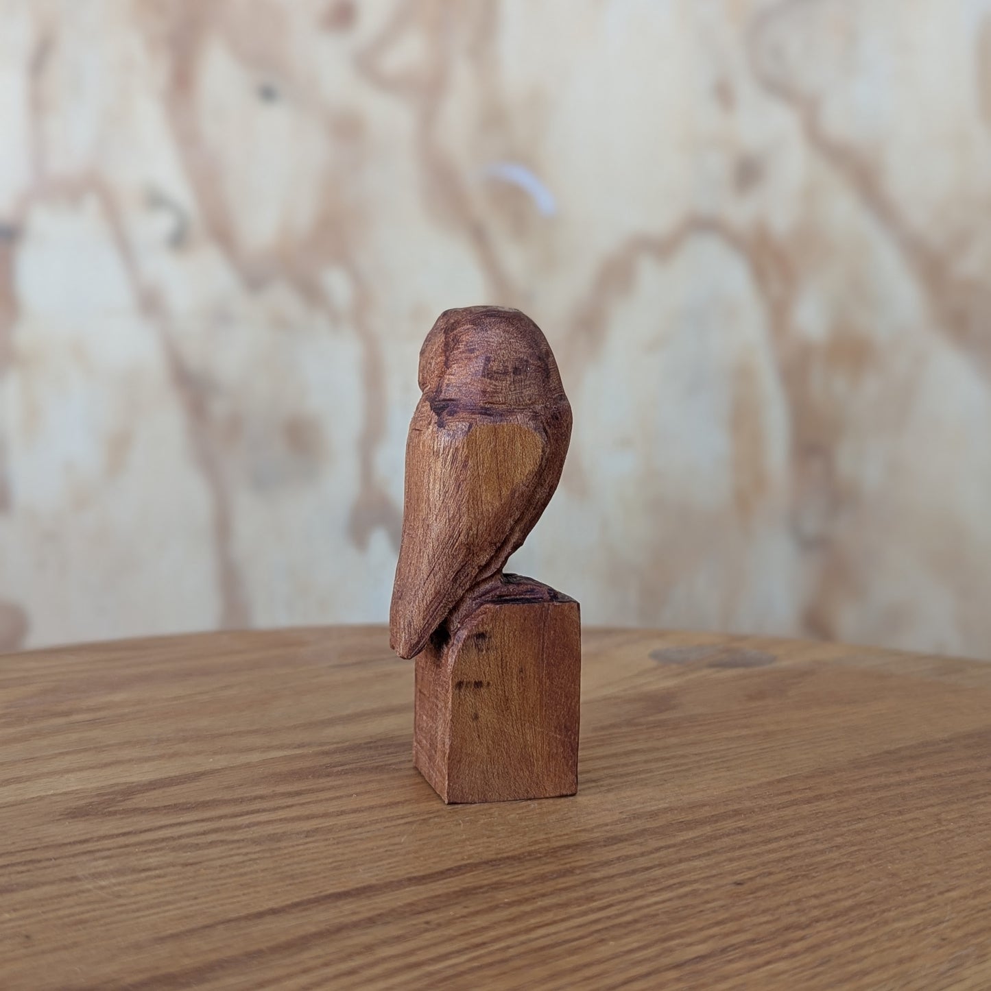 Small Owl #1