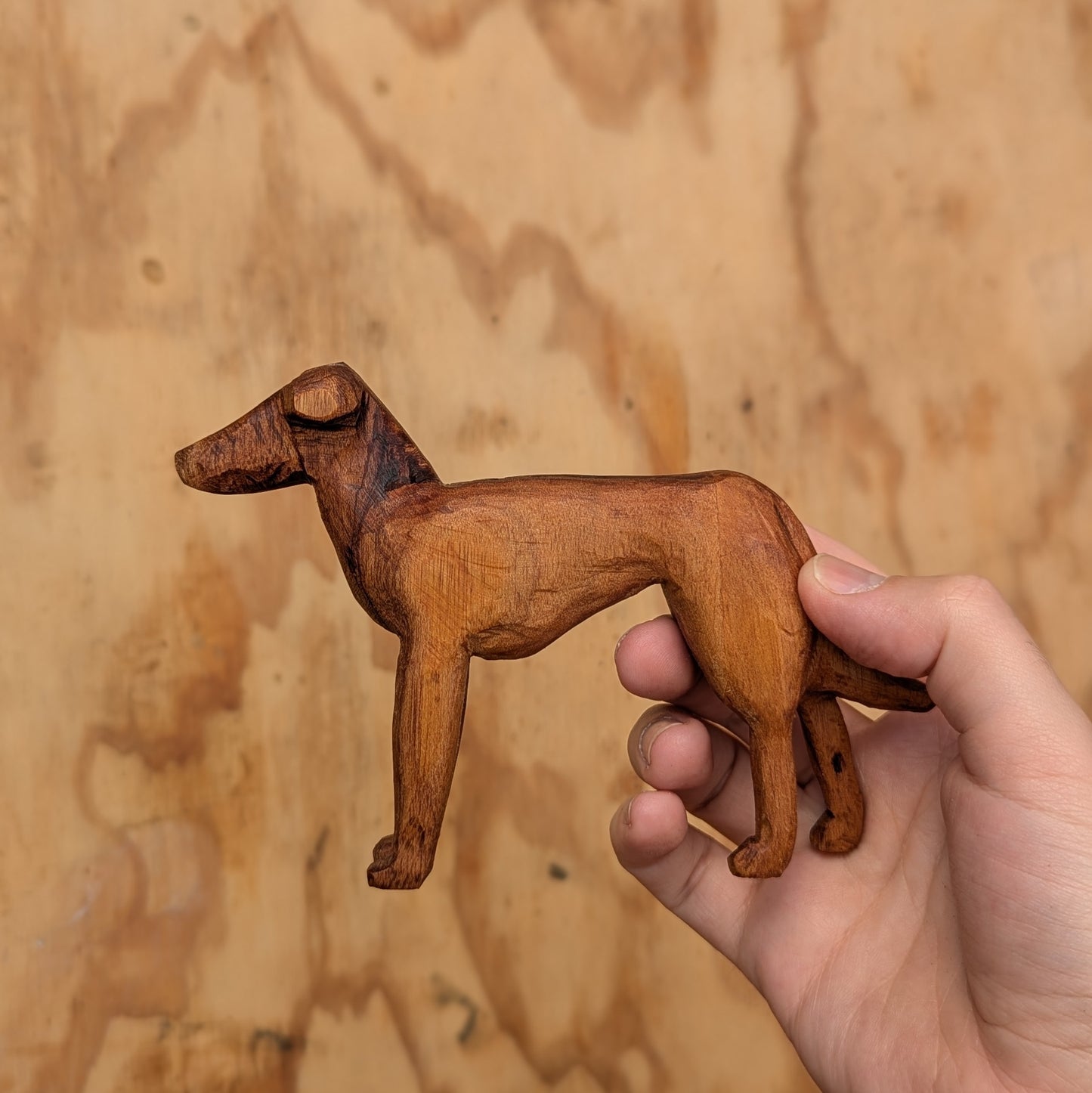 Large Greyhound #1