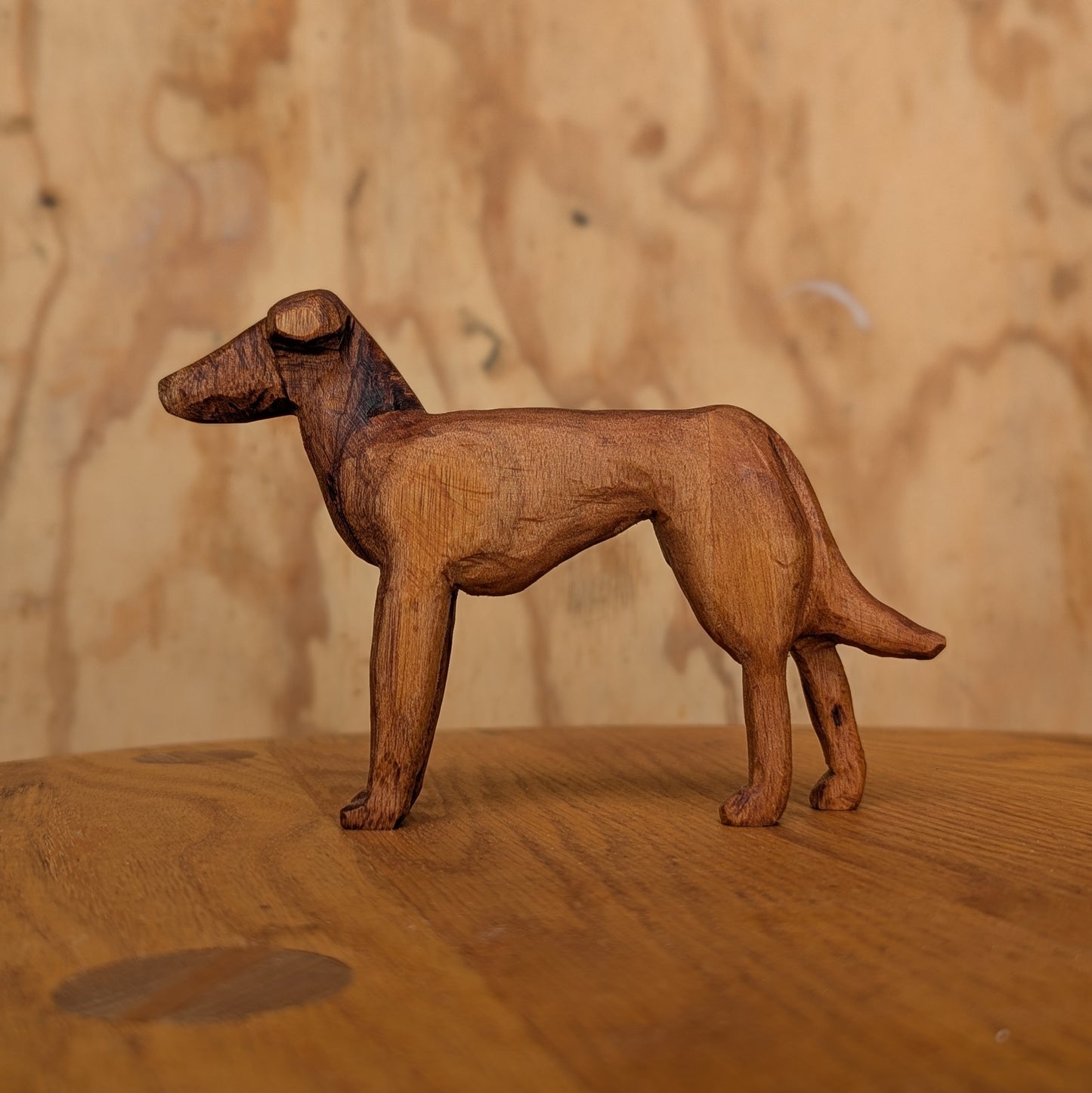 Large Greyhound #1