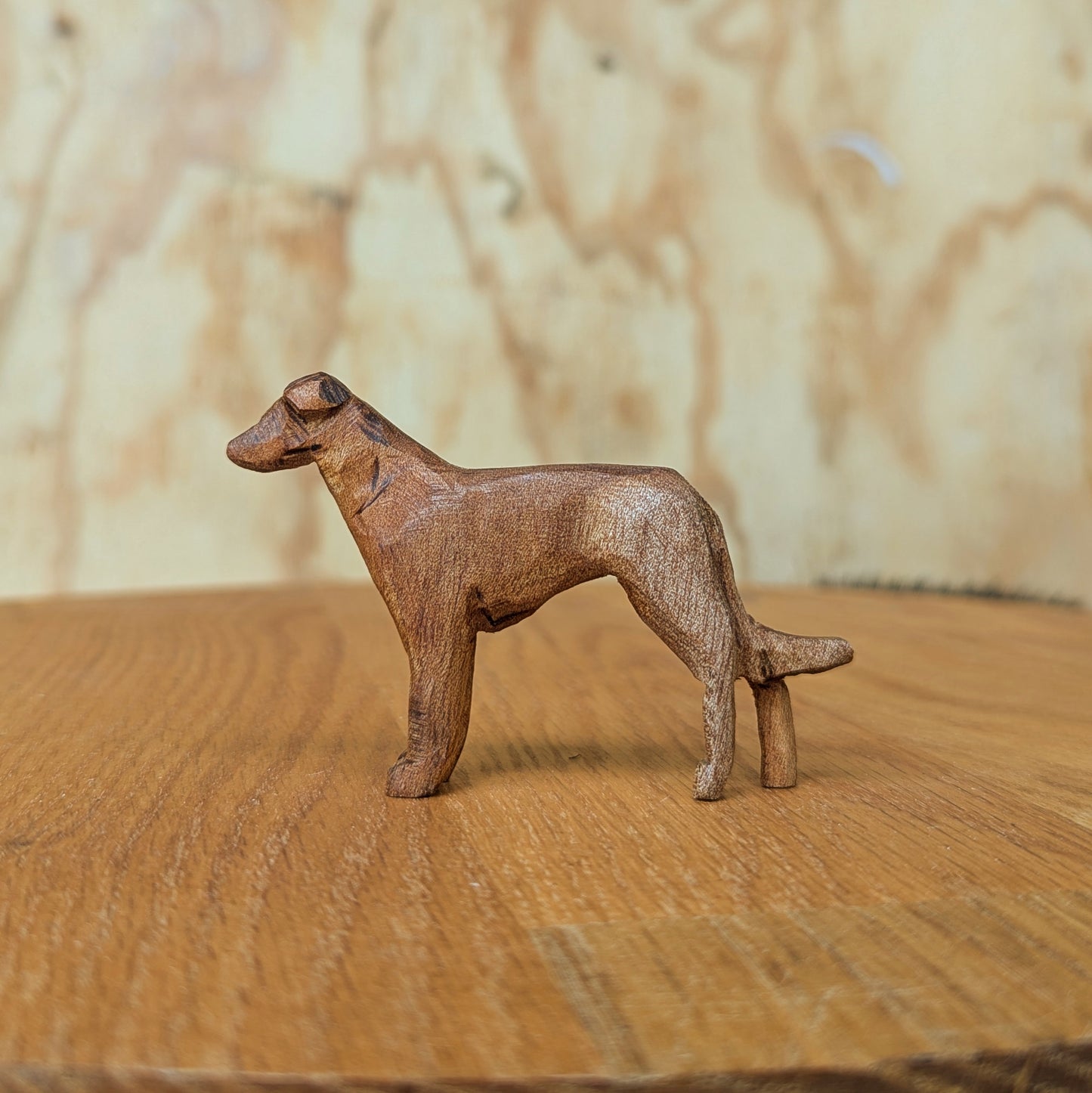 Greyhound #2