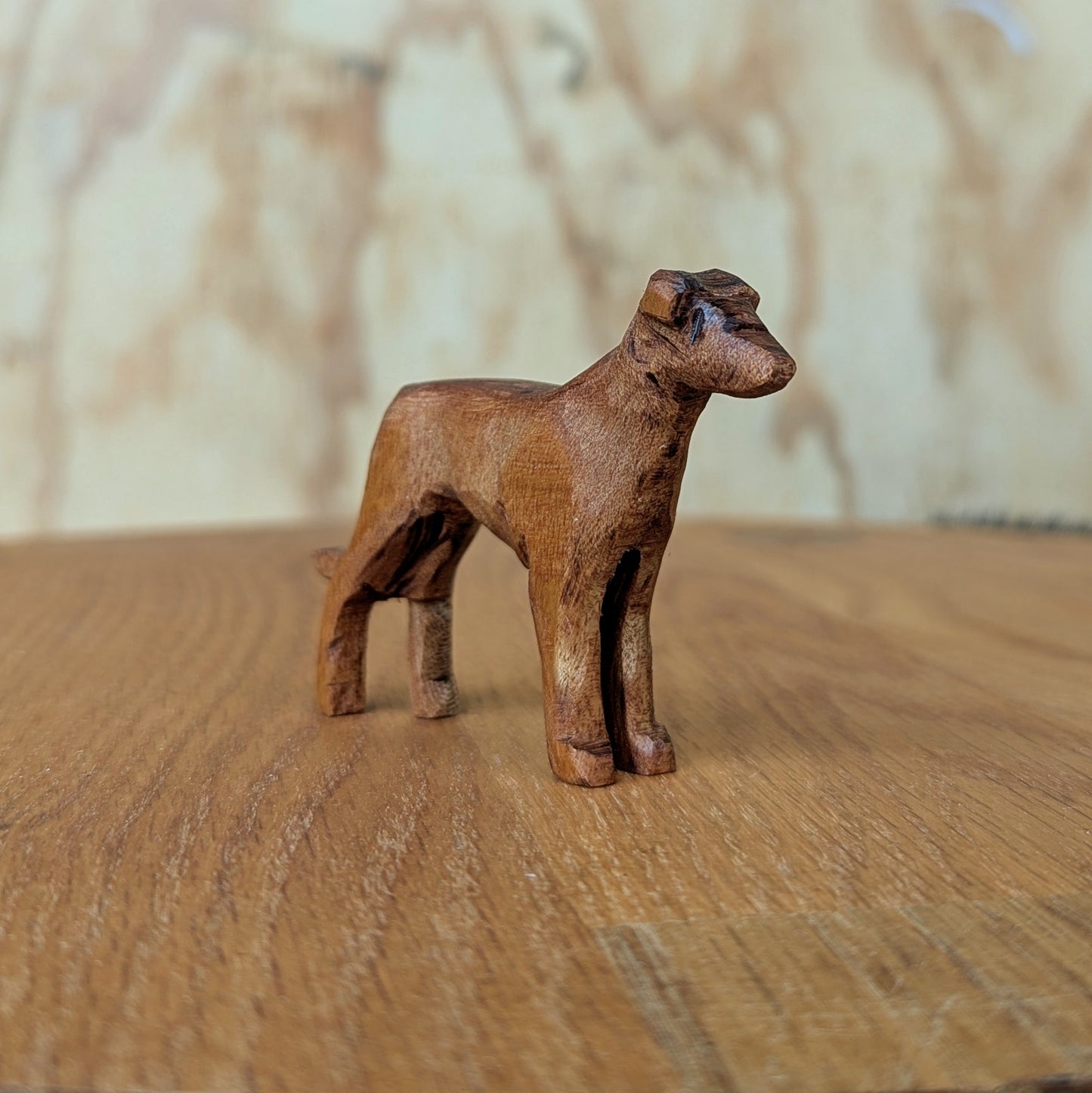 Greyhound #2
