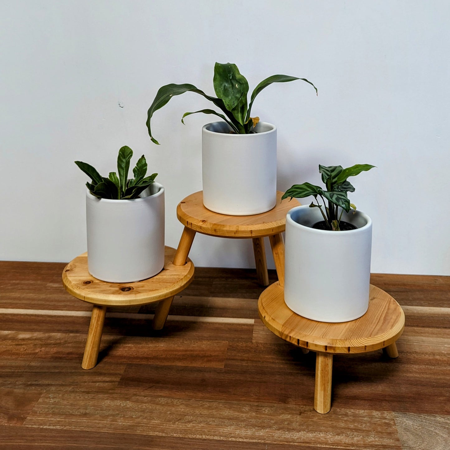 Reclaimed Indoor Plant Stand - Mid Sized