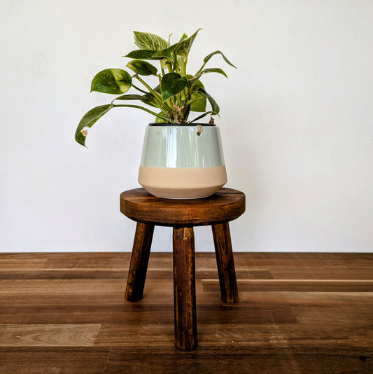 Reclaimed Timber Plant Stand or Stool #4