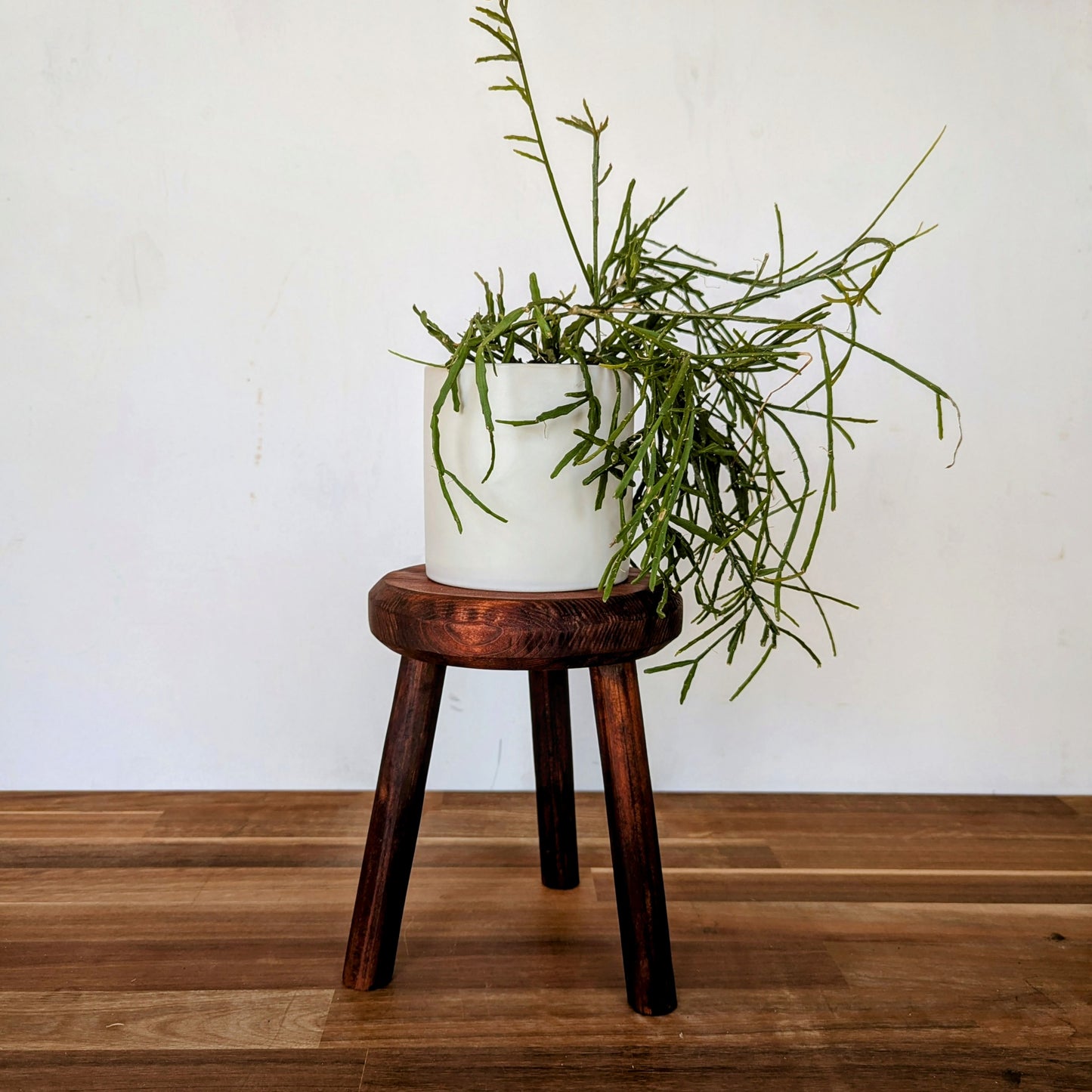 Reclaimed Timber Plant Stand or Stool #6