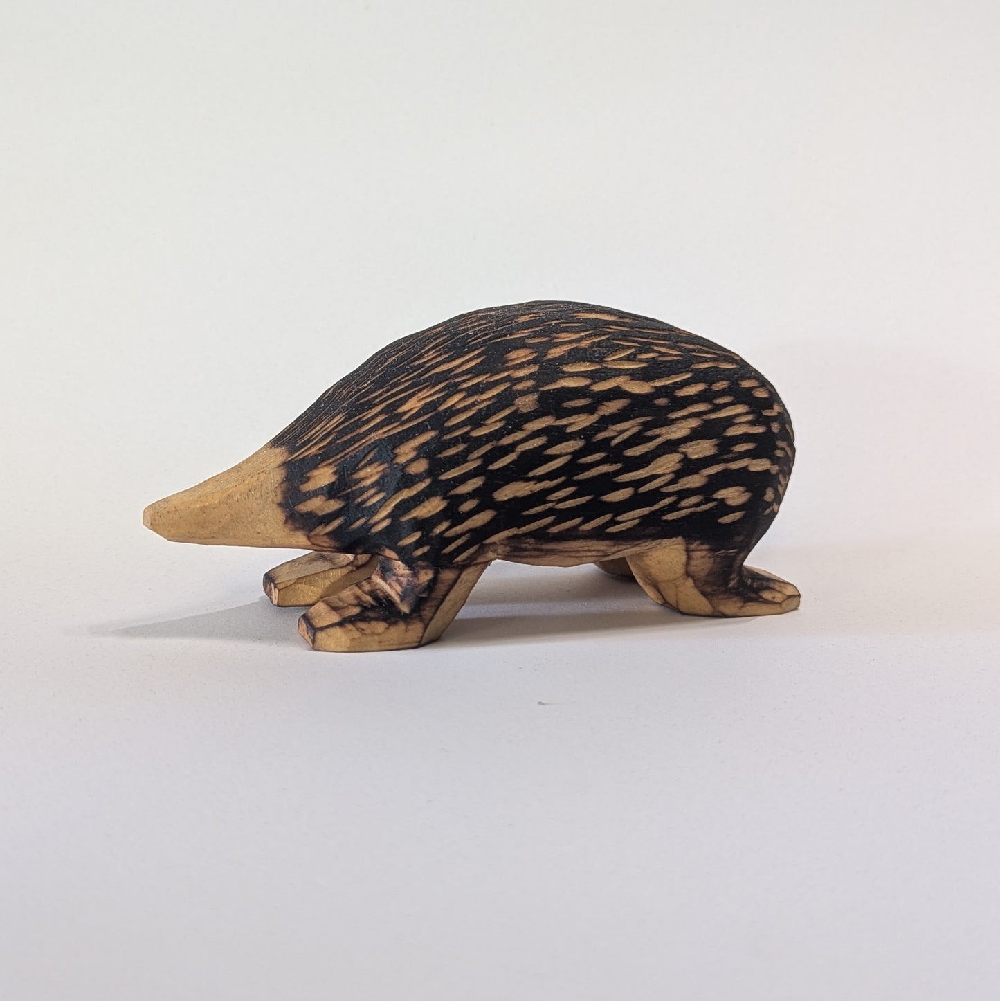 Echidna - Medium  - Made to order