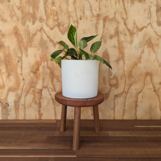 Reclaimed Timber Plant Stand or Stool #14