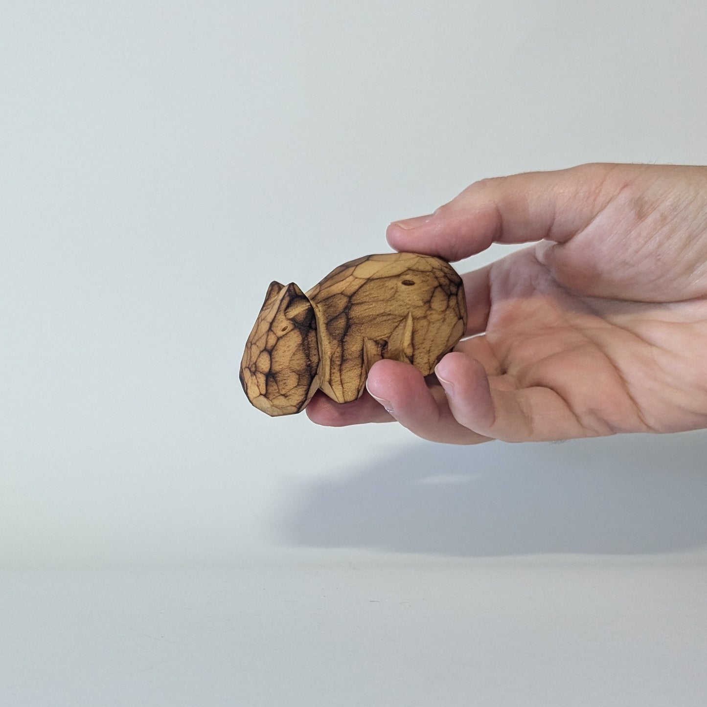 Small Wombat