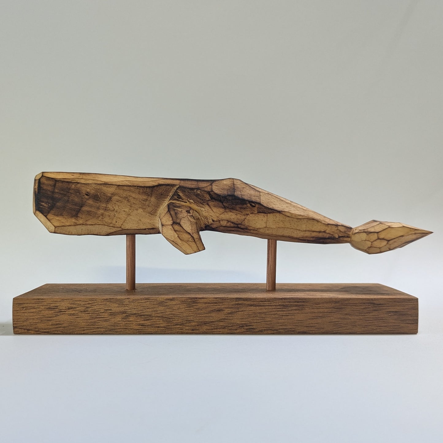 Sperm Whale - Made to order
