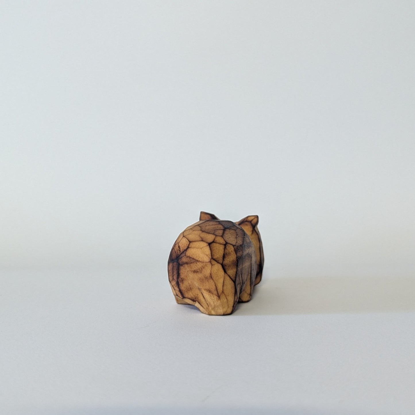 Small Wombat