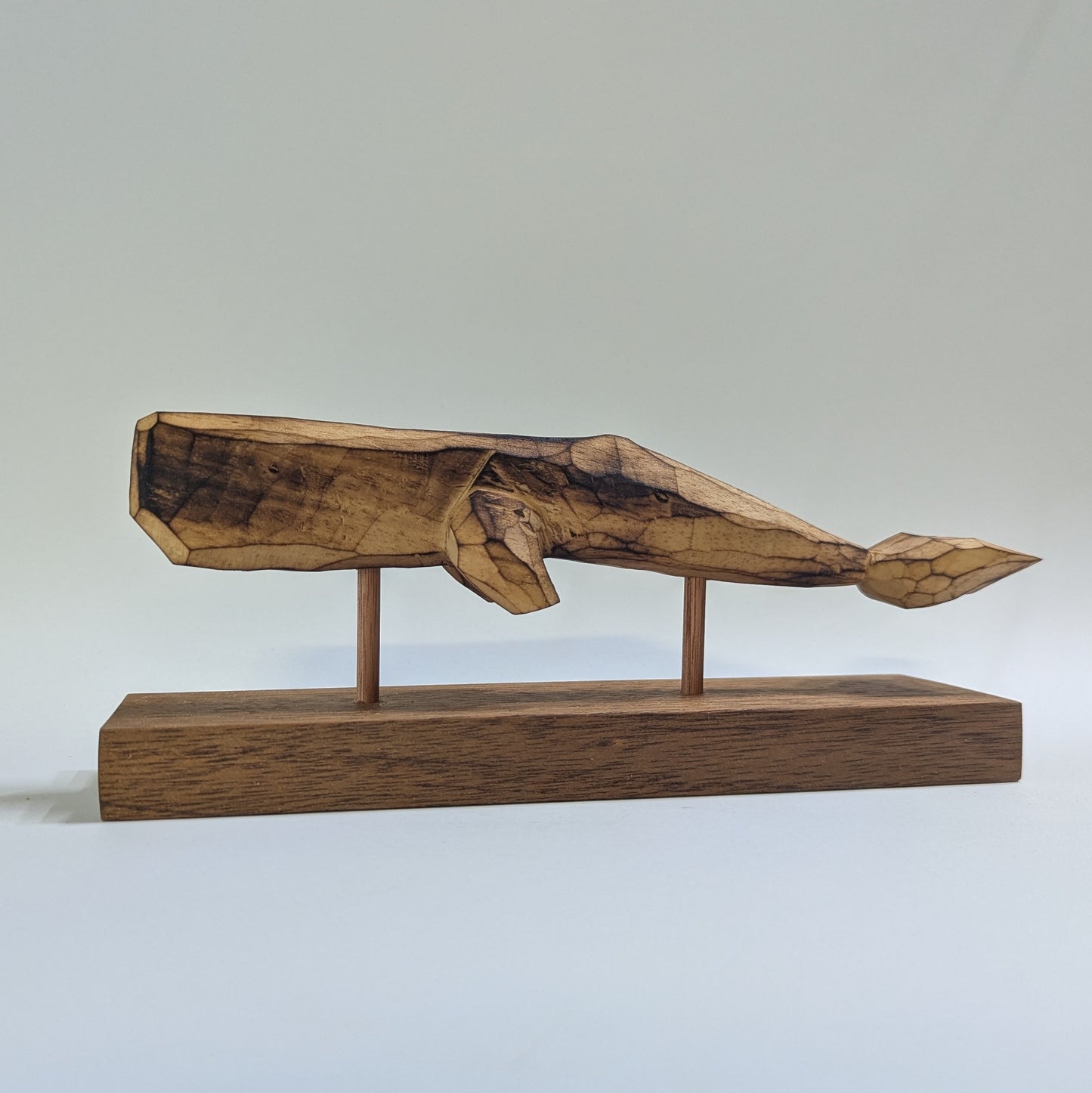 Sperm Whale - Made to order