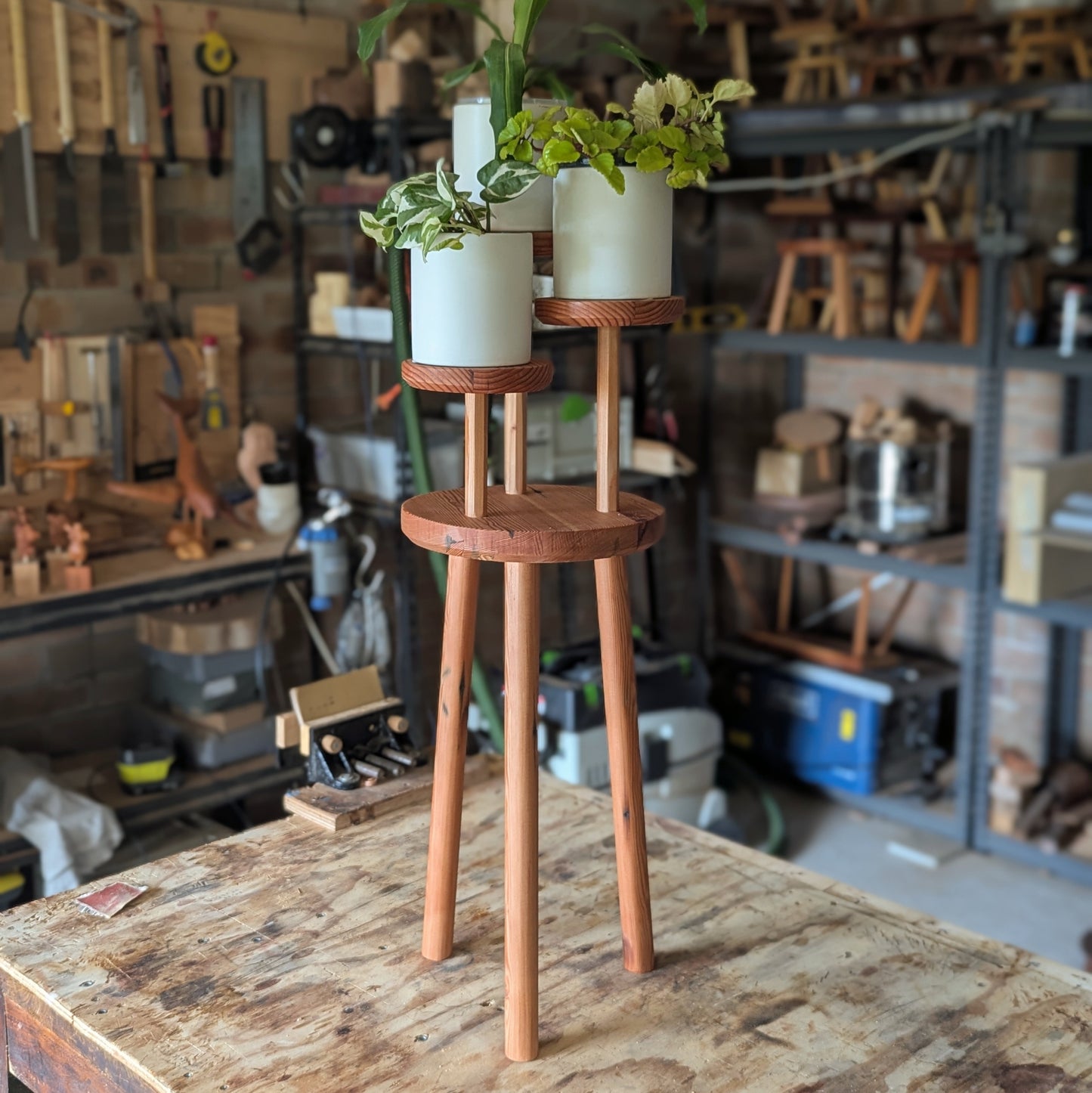 Tall Tiered Houseplant Stand - Oregon