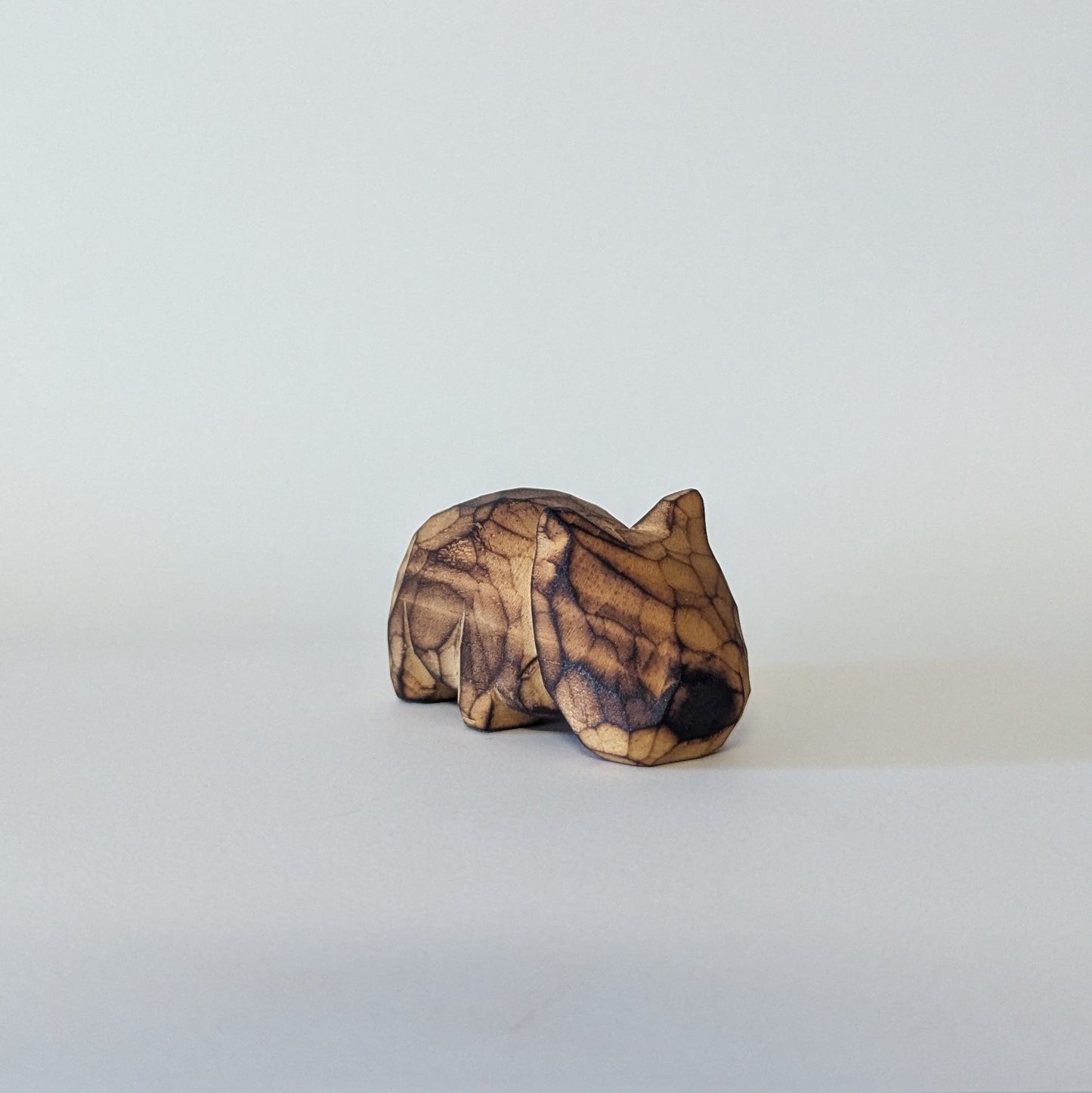Small Wombat