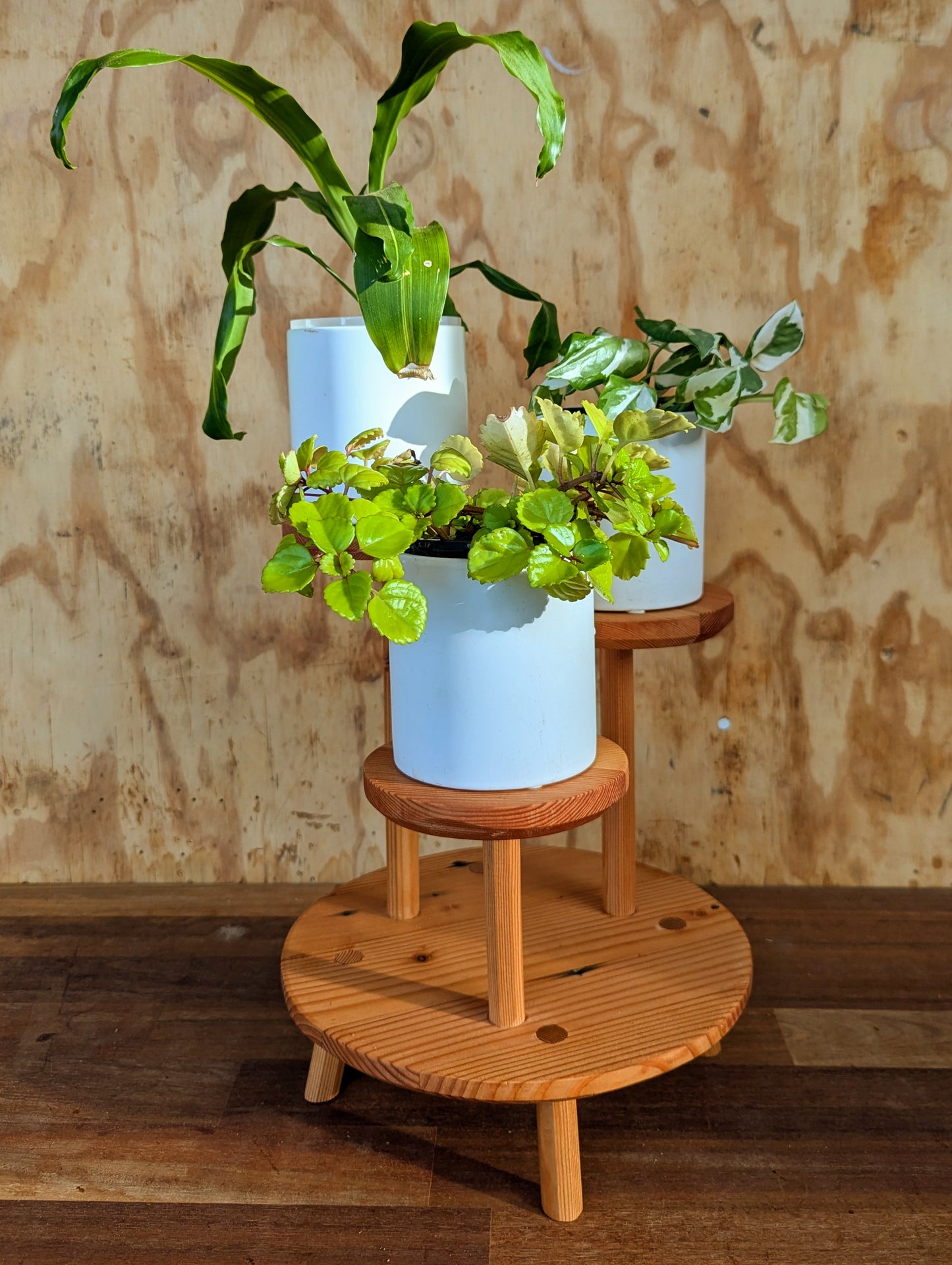 Tiered Houseplant Stand - Oregon